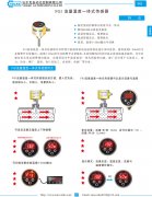 FGI 流量温度一体式传感器资料