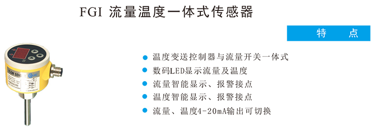 FGI流量温度一体式传感器