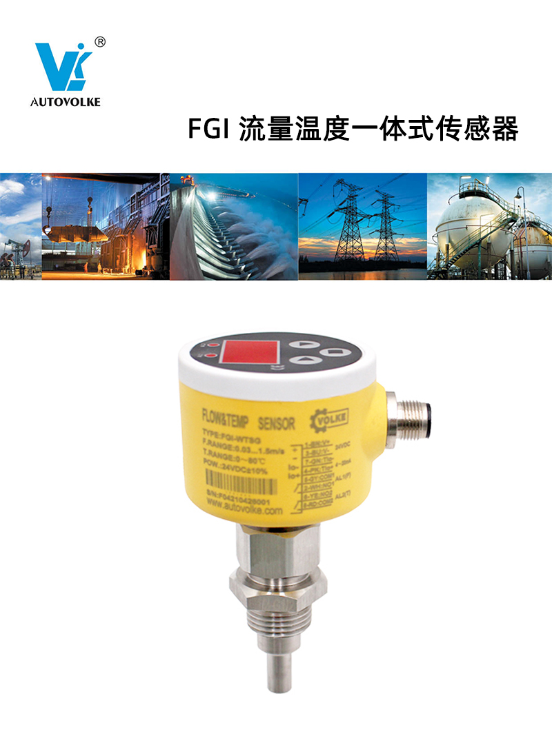 FGI 流量温度一体式传感器