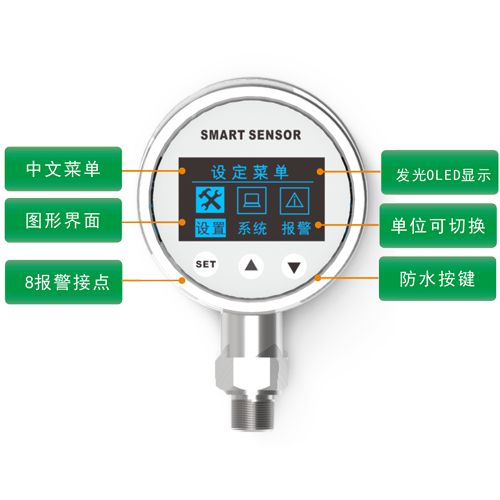 PTW 智能型压力变送控制器