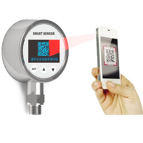 PTW 智能型压力变送控制器