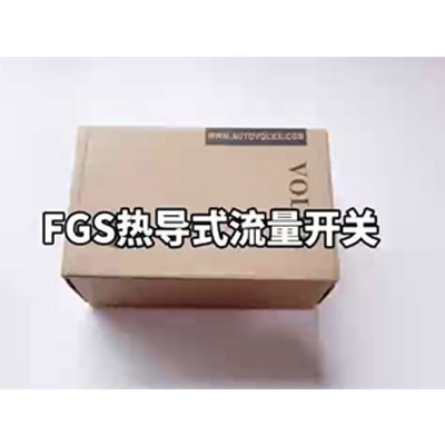 FGS 热导式流量开关调节指导