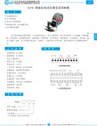 HXW 智能拉线式位移变送控制器资料