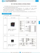 WDT 数字显示控制仪/光柱显示控制仪资料