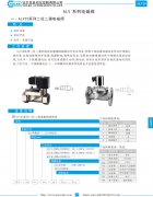ALV 系列电磁阀资料