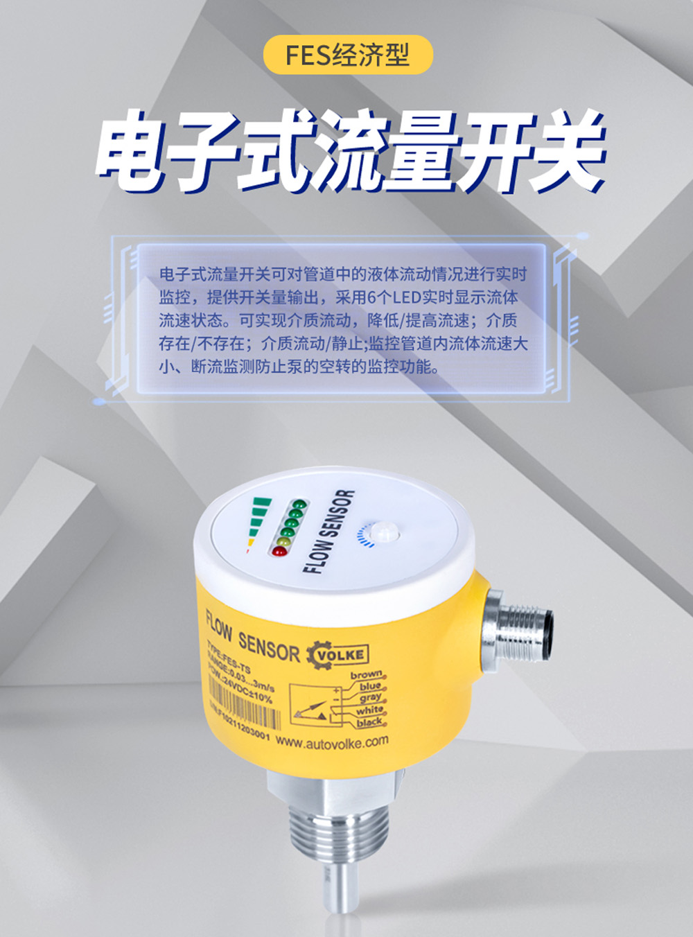 FES 经济型电子式流量开关