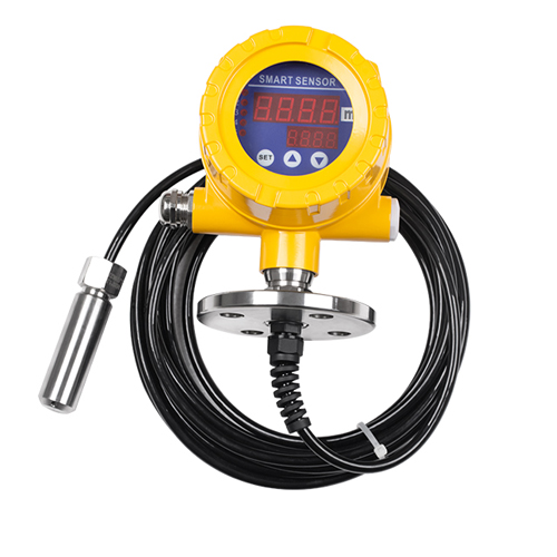 LDW Submersible Intelligent Level Transmitter Controller